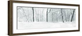 Panorama of Winter Forest with Trees Covered Snow-Olegkalina-Framed Photographic Print