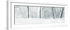 Panorama of Winter Forest with Trees Covered Snow-Olegkalina-Framed Photographic Print