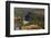 Panorama over the Dordogne River, Bastide of Domme, Domme, Dordogne, Perigord, France, Europe-Nathalie Cuvelier-Framed Photographic Print