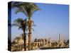 Panorama over the Sprawling Ruins of Karnak Temple, Luxor-Julian Love-Stretched Canvas