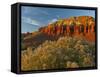Panorama Point, Capitol Reef National Park, Utah, USA-Cathy & Gordon Illg-Framed Stretched Canvas