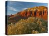 Panorama Point, Capitol Reef National Park, Utah, USA-Cathy & Gordon Illg-Stretched Canvas