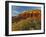 Panorama Point, Capitol Reef National Park, Utah, USA-Cathy & Gordon Illg-Framed Premium Photographic Print