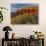 Panorama Point, Capitol Reef National Park, Utah, USA-Cathy & Gordon Illg-Photographic Print displayed on a wall