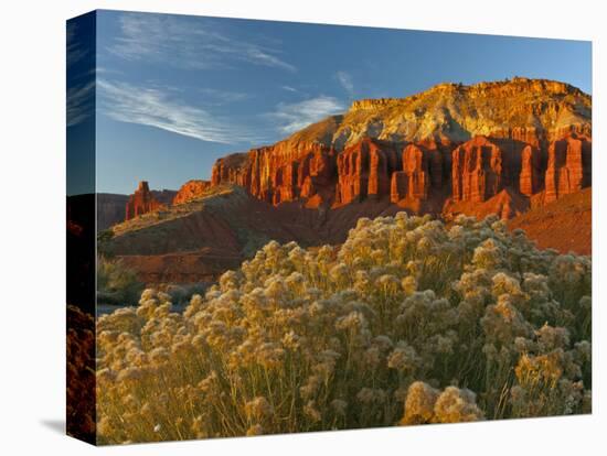 Panorama Point, Capitol Reef National Park, Utah, USA-Cathy & Gordon Illg-Stretched Canvas