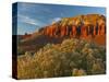 Panorama Point, Capitol Reef National Park, Utah, USA-Cathy & Gordon Illg-Stretched Canvas