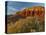 Panorama Point, Capitol Reef National Park, Utah, USA-Cathy & Gordon Illg-Stretched Canvas