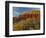 Panorama Point, Capitol Reef National Park, Utah, USA-Cathy & Gordon Illg-Framed Photographic Print