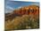 Panorama Point, Capitol Reef National Park, Utah, USA-Cathy & Gordon Illg-Mounted Photographic Print