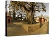 Panorama Produced by Joining Several Images, at One of the Holiest Hindu Sites, Kathmandu-Don Smith-Stretched Canvas