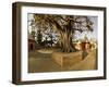 Panorama Produced by Joining Several Images, at One of the Holiest Hindu Sites, Kathmandu-Don Smith-Framed Photographic Print