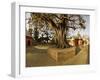 Panorama Produced by Joining Several Images, at One of the Holiest Hindu Sites, Kathmandu-Don Smith-Framed Photographic Print