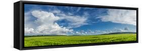 Panorama Ripening Wheat Field-Gennadiy Iotkovskiy-Framed Stretched Canvas