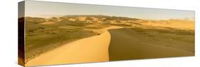 Panorama. Sand Dunes at Sunset. Gobi Desert. Mongolia.-Tom Norring-Stretched Canvas