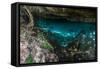 Panorama, Snorkeling Cenote Cavern at Tulum. Cancun. Traveling through Mexico.-diegocardini-Framed Stretched Canvas