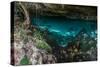 Panorama, Snorkeling Cenote Cavern at Tulum. Cancun. Traveling through Mexico.-diegocardini-Stretched Canvas