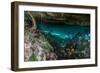 Panorama, Snorkeling Cenote Cavern at Tulum. Cancun. Traveling through Mexico.-diegocardini-Framed Photographic Print