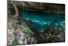 Panorama, Snorkeling Cenote Cavern at Tulum. Cancun. Traveling through Mexico.-diegocardini-Mounted Photographic Print