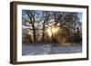 Panorama, Snowscape, Saaler Bodden-Catharina Lux-Framed Photographic Print