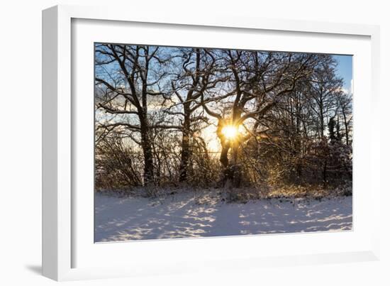 Panorama, Snowscape, Saaler Bodden-Catharina Lux-Framed Photographic Print