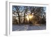 Panorama, Snowscape, Saaler Bodden-Catharina Lux-Framed Photographic Print