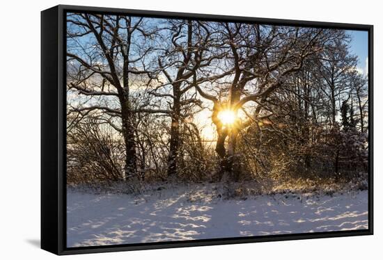 Panorama, Snowscape, Saaler Bodden-Catharina Lux-Framed Stretched Canvas