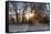Panorama, Snowscape, Saaler Bodden-Catharina Lux-Framed Stretched Canvas