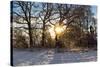Panorama, Snowscape, Saaler Bodden-Catharina Lux-Stretched Canvas