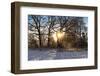 Panorama, Snowscape, Saaler Bodden-Catharina Lux-Framed Photographic Print