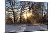 Panorama, Snowscape, Saaler Bodden-Catharina Lux-Mounted Photographic Print