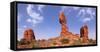 Panorama, USA, Arches National Park, Balanced Rock-Catharina Lux-Framed Stretched Canvas