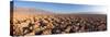 Panorama, USA, Death Valley National Park, Devil's Golf Course-Catharina Lux-Stretched Canvas