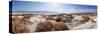 Panorama, USA, Death Valley National Park, Salt Creek-Catharina Lux-Stretched Canvas