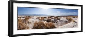 Panorama, USA, Death Valley National Park, Salt Creek-Catharina Lux-Framed Photographic Print