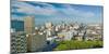 Panoramic aerial view of Durban, South Africa skyline-null-Mounted Photographic Print