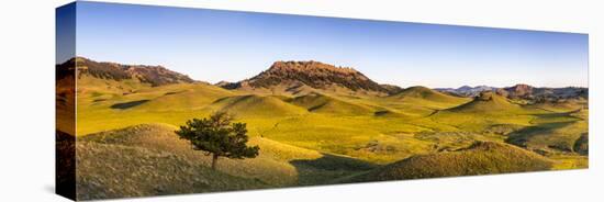 Panoramic, Bears Paw Mountains in Summer in Blaine County, Montana, USA-Chuck Haney-Stretched Canvas