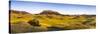 Panoramic, Bears Paw Mountains in Summer in Blaine County, Montana, USA-Chuck Haney-Stretched Canvas