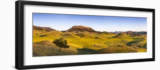 Panoramic, Bears Paw Mountains in Summer in Blaine County, Montana, USA-Chuck Haney-Framed Photographic Print