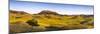 Panoramic, Bears Paw Mountains in Summer in Blaine County, Montana, USA-Chuck Haney-Mounted Photographic Print