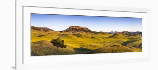 Panoramic, Bears Paw Mountains in Summer in Blaine County, Montana, USA-Chuck Haney-Framed Photographic Print