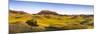 Panoramic, Bears Paw Mountains in Summer in Blaine County, Montana, USA-Chuck Haney-Mounted Photographic Print