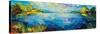 Panoramic Bliss-Jeanette Vertentes-Stretched Canvas