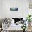 Panoramic Bliss-Jeanette Vertentes-Mounted Premium Giclee Print displayed on a wall