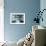 Panoramic Dental X-ray of Impacted Wisdom Teeth-Kaj Svensson-Framed Photographic Print displayed on a wall