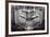 Panoramic Dental X-ray-null-Framed Photographic Print