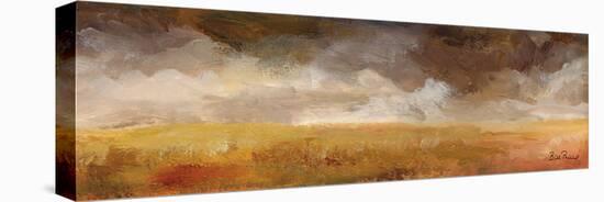 Panoramic Fields-Bill Philip-Stretched Canvas
