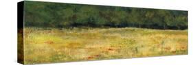 Panoramic Forest-Bill Philip-Stretched Canvas