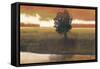 Panoramic Horizon I-Norman Wyatt Jr.-Framed Stretched Canvas