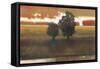 Panoramic Horizon II-Norman Wyatt Jr.-Framed Stretched Canvas