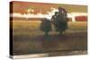 Panoramic Horizon II-Norman Wyatt Jr.-Stretched Canvas